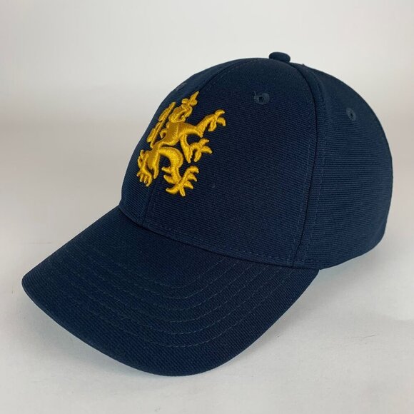 Coors Banquest Navy Blue Stretch Fitted Hat Mens One Size - Picture 1 of 5